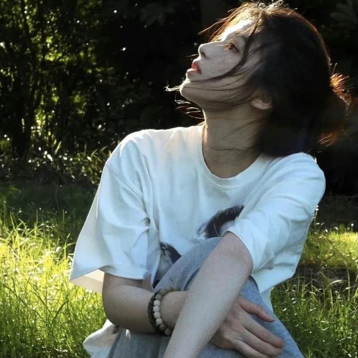 三只流浪猫
